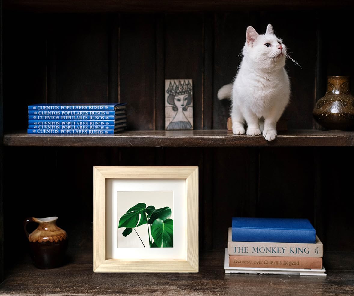 LEKAIYA 6x6 Picture Frames Set of 2, Square Grain Solid Wood Photo Frame for Tabletop or Wall Mounting